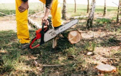 crop lumberman sawing log with electric power saw